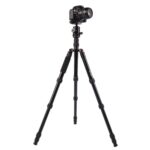 Triopo MT-2805C Trípode de aluminio portátil ajustable con rótula de bola NB-2S para cámara Canon Nikon Sony DSLR, MT-2805C (Gold) - Imagen 3