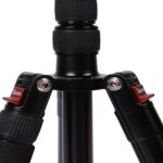 Triopo MT-2805C Trípode de aluminio portátil ajustable con rótula de bola NB-2S para cámara Canon Nikon Sony DSLR, MT-2805C (Gold) - Imagen 4