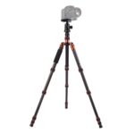 Triopo GT-2505x8.C Trípode de fibra de carbono portátil ajustable con rótula de bola de aluminio B-1 para cámara Canon Nikon Sony DSLR, GT-2505x8.C (Black)