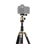 Triopo GT-2505x8.C Trípode de fibra de carbono portátil ajustable con rótula de bola de aluminio B-1 para cámara Canon Nikon Sony DSLR, GT-2505x8.C (Gold)