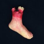 25cm Halloween Horror Props April Fool Day Party Prop Partes del cuerpo Decoración Bloody Foot