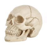 Pantalla de gadget de accesorios de Halloween de cabeza de calavera, tamaño: 19 (L) x 13 (W) x 14cm (H) (blanco)