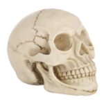 Pantalla de gadget de accesorios de Halloween de cabeza de calavera, tamaño: 19 (L) x 13 (W) x 14cm (H) (blanco) - Imagen 4