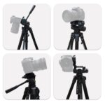 Trípode en vivo L-3600 con cardán de amortiguación tridimensional Placa de liberación rápida desmontable Ajuste de altura 62-170 cm para proyector de luz en vivo de cámara SLR (negro) - Imagen 5