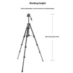 YUNTENG VCT-6828RM Soporte para fotografía y transmisión en vivo de selfies Soporte para cámara y teléfono Trípode - Imagen 2
