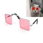 4 piezas de joyería para mascotas, foto de gato, accesorios divertidos, gafas de personalidad