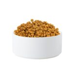 Cuenco para gatos, olla para perros, cuenco de cerámica para mascotas, 15.5cm/850ml Single Bowl