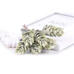2 racimos de flores artificiales, ramo de cono de pino para decoración navideña de boda