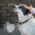 10 Uds. Llavero esmaltado con estampado de pata de oso, gato, perro, fabricación de joyas - Imagen 5