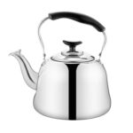 Hervidor con silbato de acero inoxidable para Cocina de Inducción, olla para cantar con sonido de Piano clásico para el hogar, sin calor magnético, 1L