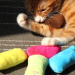 2 uds., juguetes con hierba gatera para rechinar los dientes, divertido juguete interactivo de peluche para gatos, gatitos y mascotas, juguete para masticar, garras, mordedura de pulgar, menta para gatos - Imagen 3