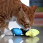 2 uds., juguetes con hierba gatera para rechinar los dientes, divertido juguete interactivo de peluche para gatos, gatitos y mascotas, juguete para masticar, garras, mordedura de pulgar, menta para gatos - Imagen 5