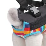 Mochila portátil para mascotas que viaja en el pecho, XL - Imagen 5