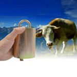 Campana ruidosa antipérdida, especial, gruesa, vaca, caballo, oveja, animales de granja, S - Imagen 2