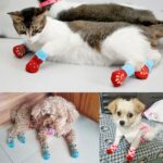2 pares de zapatos para mascotas, perros, cachorros y gatos, zapatillas, calcetines antideslizantes, lindos para interiores, para perros pequeños, gatos, botas de nieve, calcetines, M - Imagen 4