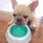 Tazón de comida para tazón frío de velocidad de enfriamiento para mascotas