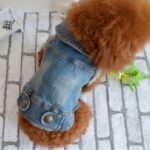 Chaleco pequeño de mezclilla con personalidad Retro, ropa para perros y mascotas, chaqueta para mascotas, XL