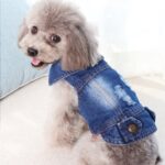 Chaleco pequeño de mezclilla con personalidad Retro, ropa para perros y mascotas, chaqueta para mascotas, XS - Imagen 3