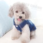 Chaleco pequeño de mezclilla con personalidad Retro, ropa para perros y mascotas, chaqueta para mascotas, XS - Imagen 4