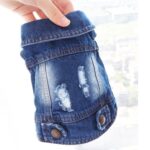 Chaleco pequeño de mezclilla con personalidad Retro, ropa para perros y mascotas, chaqueta para mascotas, XS - Imagen 5
