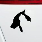 10 pegatinas para coche para perros y gatos, pegatinas reflectantes impermeables para mascotas, Dog and Cat - Imagen 3