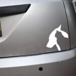10 pegatinas para coche para perros y gatos, pegatinas reflectantes impermeables para mascotas, Dog and Cat - Imagen 4
