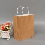 Bolsa de papel Kraft elegante de 10 piezas con asas para bodas/fiestas de cumpleaños/joyas/ropa, 22x27x11cm