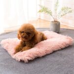 Almohadilla de felpa para perros y gatos, cuadrada, Universal, cálida, para otoño e invierno, S - Imagen 4