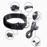 La luz del resplandor LED recargable del modelo de la tela escocesa lleva el collar de perro casero para los perros pequeños medianos, L - Imagen 4
