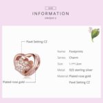 Cuentas de plata de ley S925 con forma de corazón con estampado de pata de mascota, accesorios de cuentas para pulsera DIY, Pet Paw Print(Silver), Pet Paw Print(Rose Gold) - Imagen 3