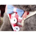 Arnés de pecho con cuerda para mascotas, chaleco antirotura, cuerda para caminar para perros pequeños, M - Imagen 3