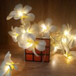 1.5m 10 LED con pilas Blanco cálido Creativo DIY Frangipani LED Cadena de luces Iluminación de vacaciones floral Evento Fiesta Garland Decoración del dormitorio