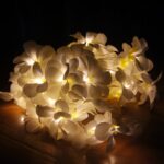 1.5m 10 LED con pilas Blanco cálido Creativo DIY Frangipani LED Cadena de luces Iluminación de vacaciones floral Evento Fiesta Garland Decoración del dormitorio - Imagen 3