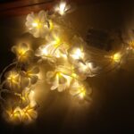 1.5m 10 LED con pilas Blanco cálido Creativo DIY Frangipani LED Cadena de luces Iluminación de vacaciones floral Evento Fiesta Garland Decoración del dormitorio - Imagen 4