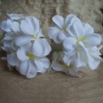 1.5m 10 LED con pilas Blanco cálido Creativo DIY Frangipani LED Cadena de luces Iluminación de vacaciones floral Evento Fiesta Garland Decoración del dormitorio - Imagen 5