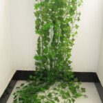 12 PCS 2.4M Ivy artificial HIVEA GUARANDA GARANDIA PLANTAS VINE FALSA DE HOGAR Decoración de plástico Flor de ratán String