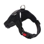 Arnés ajustable para perros pequeños, medianos y grandes, correa de mano para caminar para mascotas, M - Imagen 2
