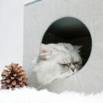 Pet Nest Cama plegable universal extraíble y lavable de cuatro estaciones - Imagen 5