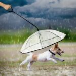PET paraguas Transparente Lluvias de lluvia ajustable Correa