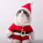 Traje navideño tridimensional para mascotas, S