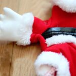 Traje navideño tridimensional para mascotas, S - Imagen 4