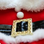 Traje navideño tridimensional para mascotas, S - Imagen 5
