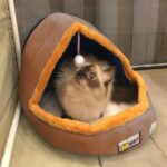Cama suave y cálida para perros y gatos, cojín para mascotas, caseta para perros, castillo para gatos, casa plegable para cachorros con pelota de juguete, L