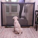 Cercas para mascotas para perros, puerta mágica plegable portátil de protección segura, puerta mágica para perros, gatos y mascotas, 180cm x72cm - Imagen 2