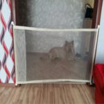 Cercas para mascotas para perros, puerta mágica plegable portátil de protección segura, puerta mágica para perros, gatos y mascotas, 110cm x72cm - Imagen 3