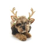 Accesorios navideños para mascotas, horquilla para perro, adorno para gato, diadema de asta navideña, L