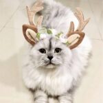 Accesorios navideños para mascotas, horquilla para perro, adorno para gato, diadema de asta navideña, L - Imagen 4