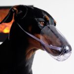 Bozal transparente antimordeduras de inyección para baño de mascotas, S, M, L