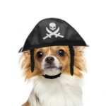 Suministros para mascotas Sombrero de pirata de Halloween Peluca para perros y gatos Sombrero de pirata blanco, White Pirate Hat,