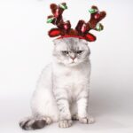 Artículos para mascotas Cachorro Gorro navideño Joyería navideña Astas con lentejuelas, S - Imagen 4